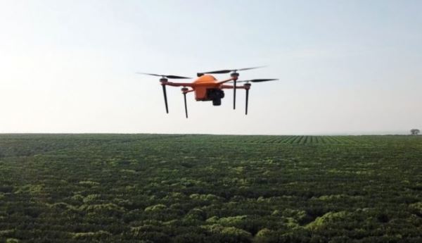 Искусственный интеллект и дроны позволят следить за фермами на микроуровне