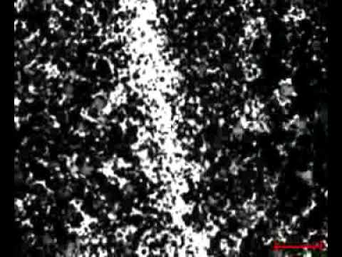 Ученые создали из графена самовосстанавливающееся антикоррозийное покрытие