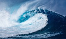 Как образуются волны в океане?