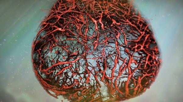 Ученые вырастили в лаборатори идеальные человеческие кровеносные сосуды