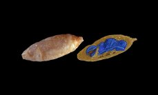 Ученый обнаружил древнее насекомое внутри драгоценного камня