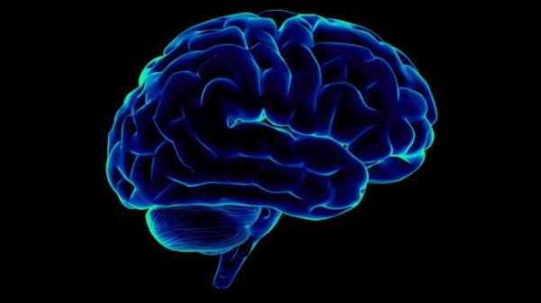 Нейробиологи обучили нейросеть переводить сигналы мозга в членораздельную речь